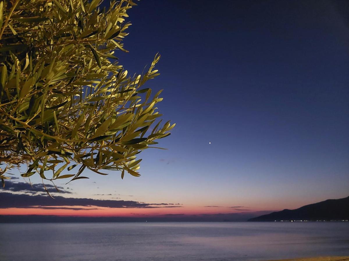 Villa Sevi Vrasná Exteriér fotografie