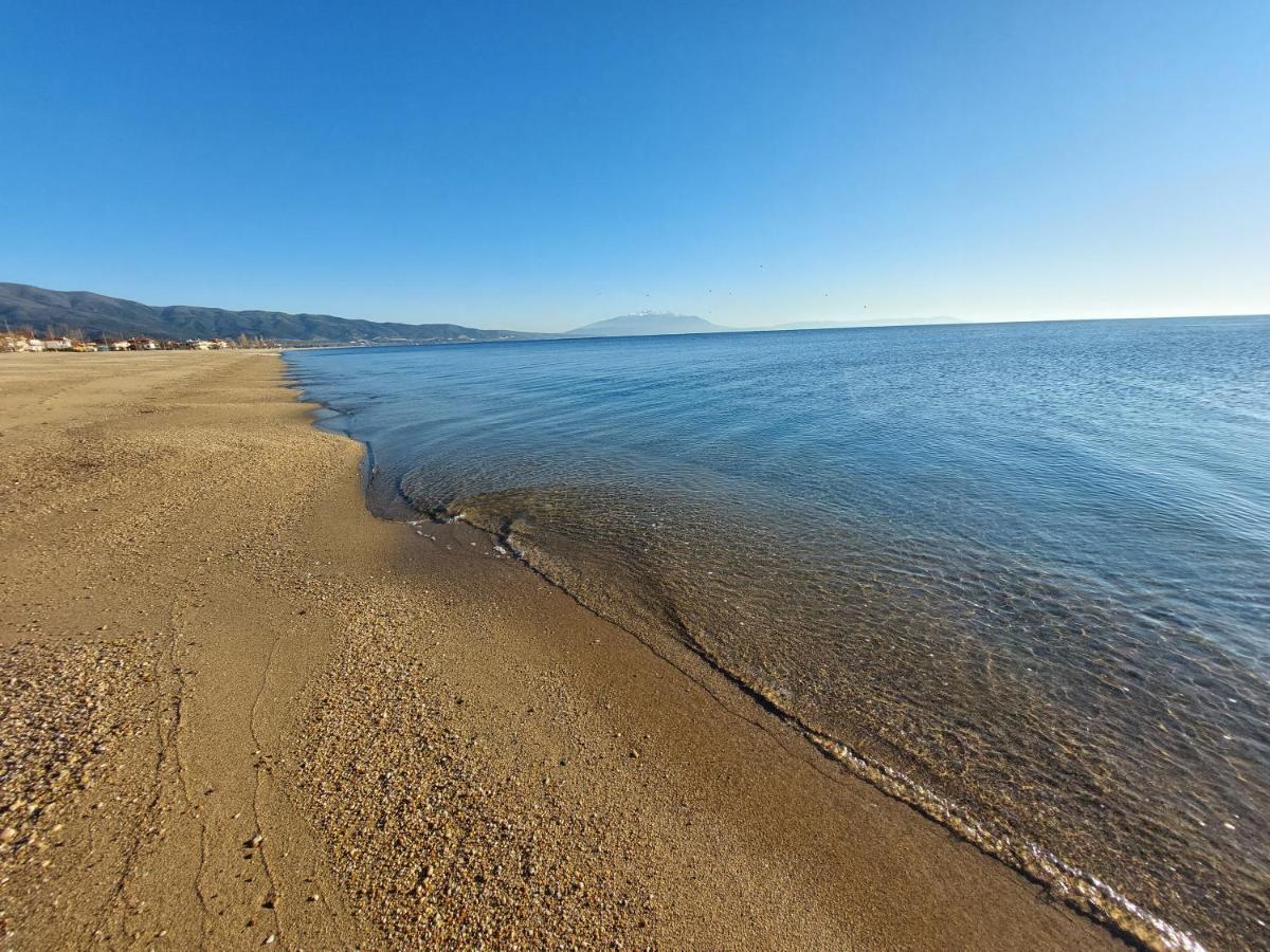 Villa Sevi Vrasná Exteriér fotografie