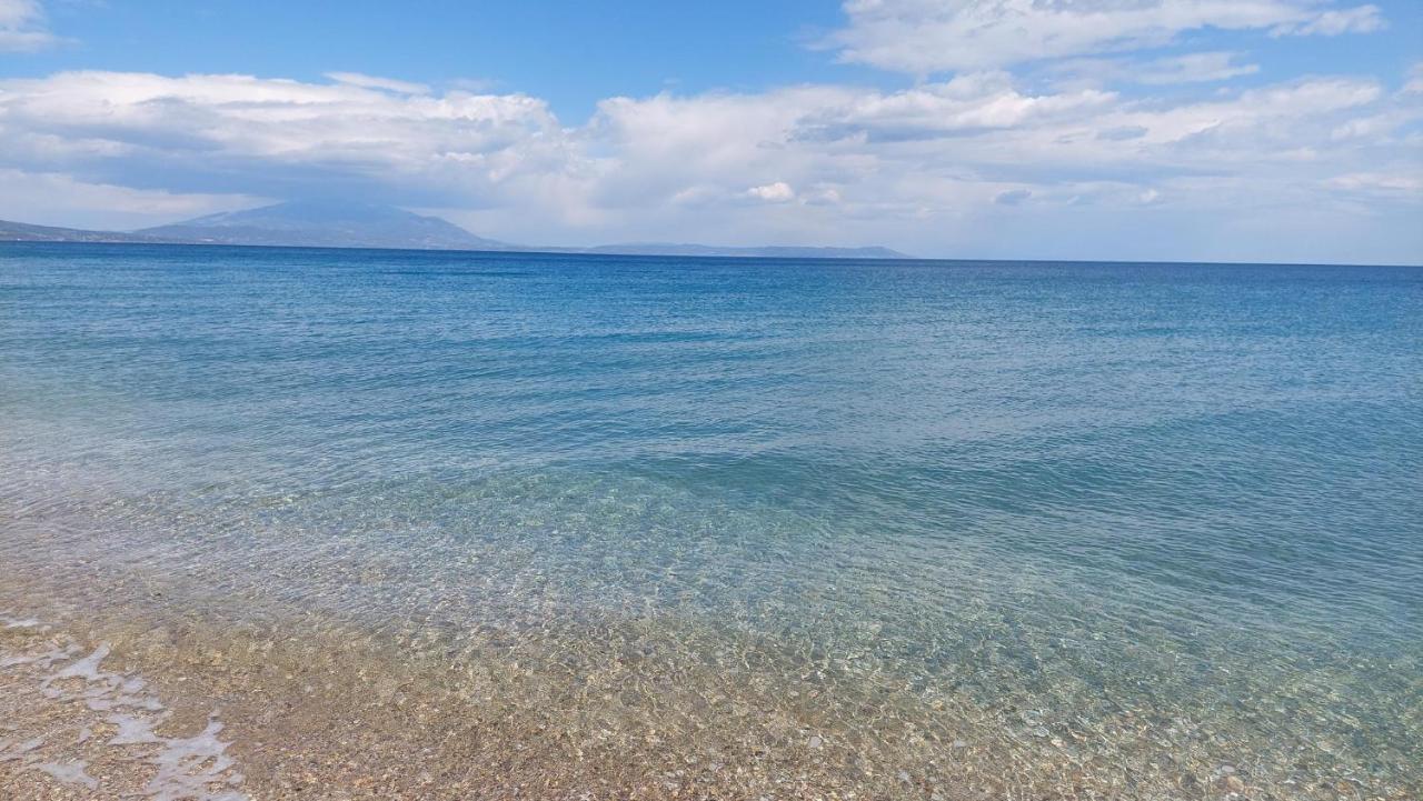 Villa Sevi Vrasná Exteriér fotografie