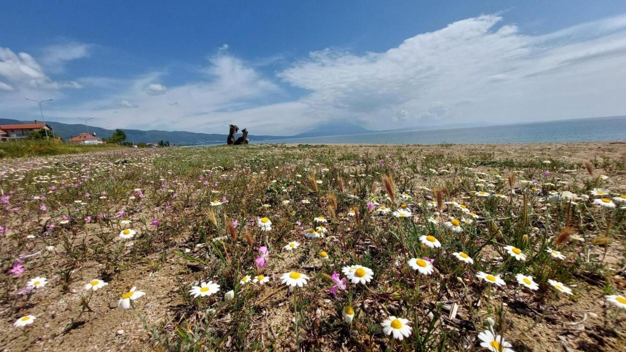 Villa Sevi Vrasná Exteriér fotografie