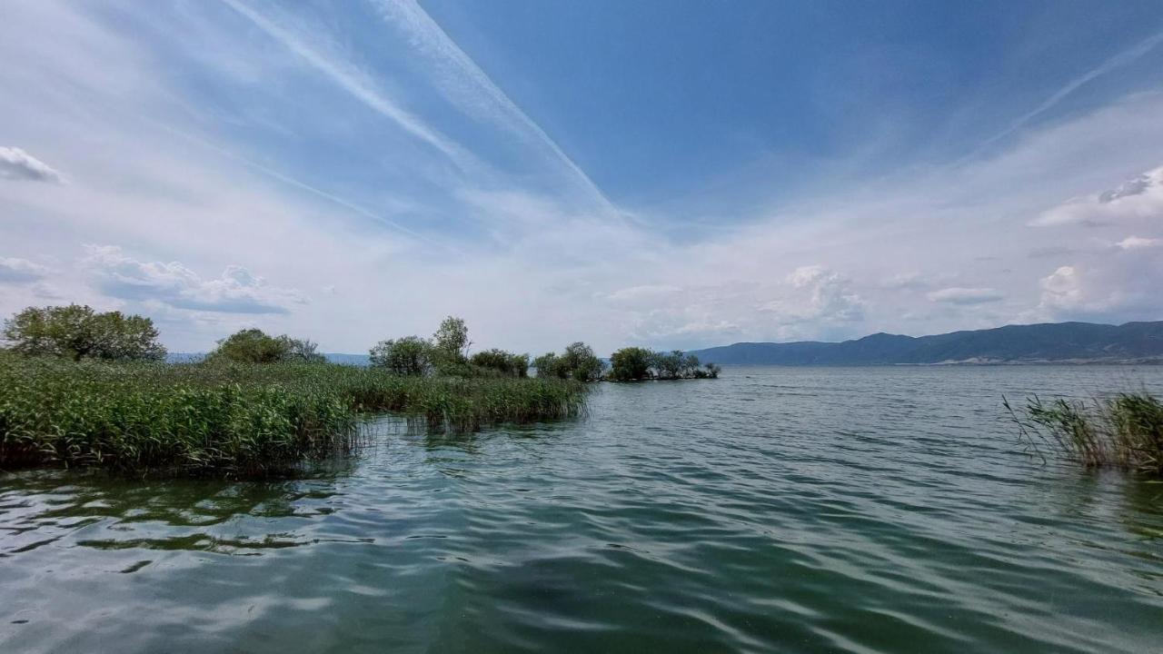 Villa Sevi Vrasná Exteriér fotografie